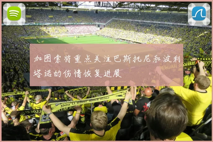加图索将重点关注巴斯托尼和波利塔诺的伤情恢复进展